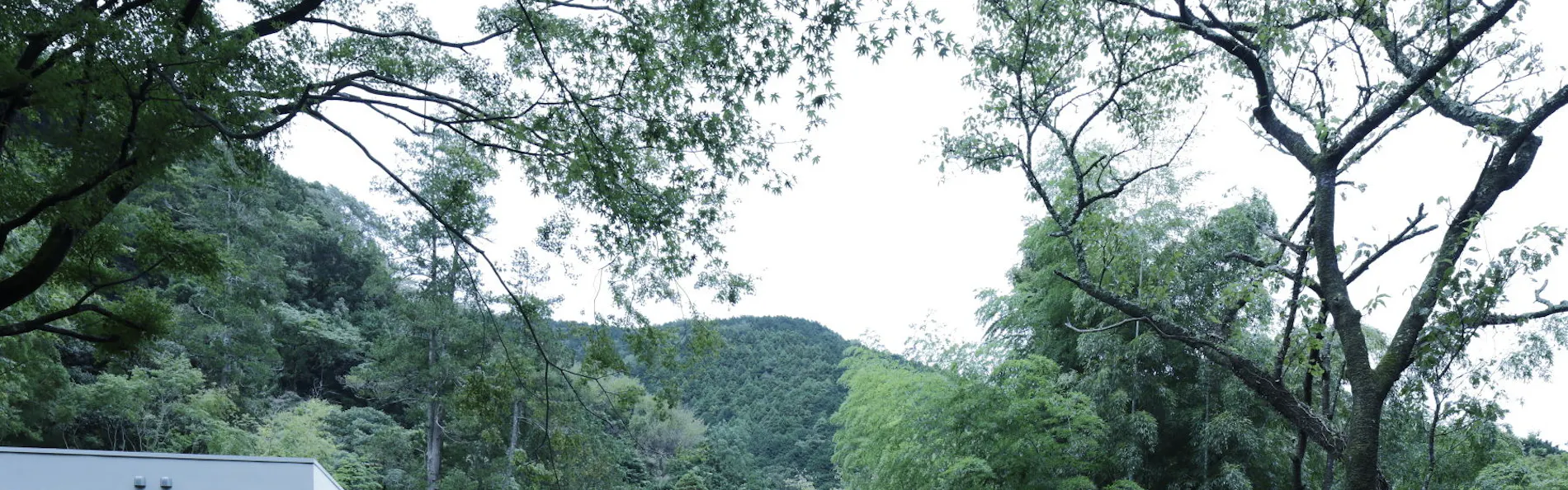 BOSCAGE kariya