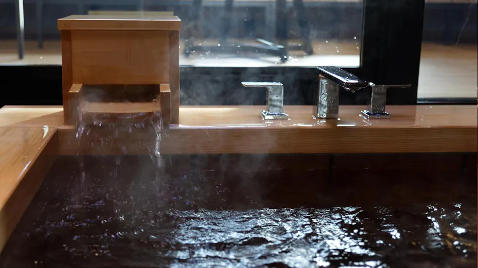 Dogo Onsen Koto no Niwa