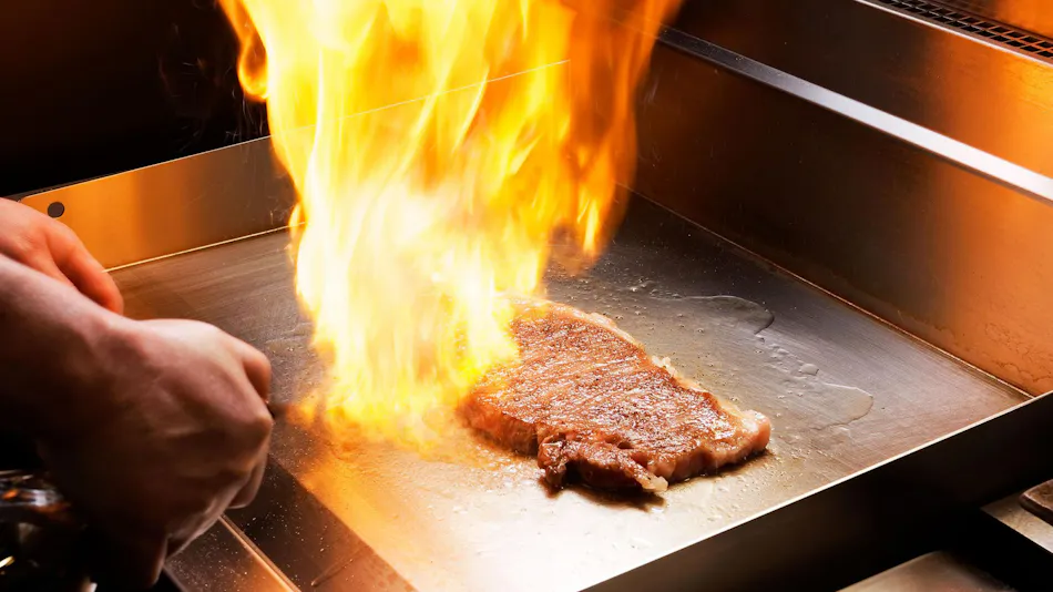 Dogo Onsen Koto no Niwa