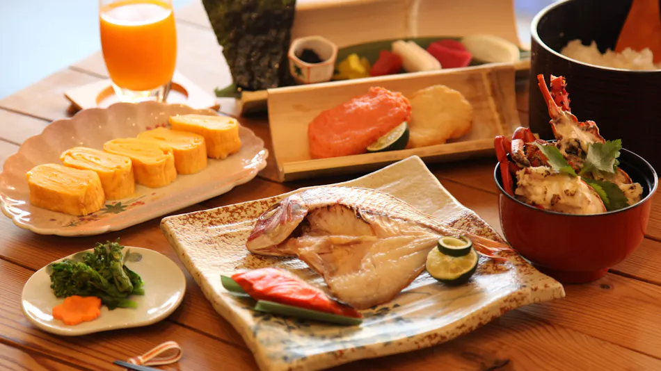 Dogo Onsen Koto no Niwa