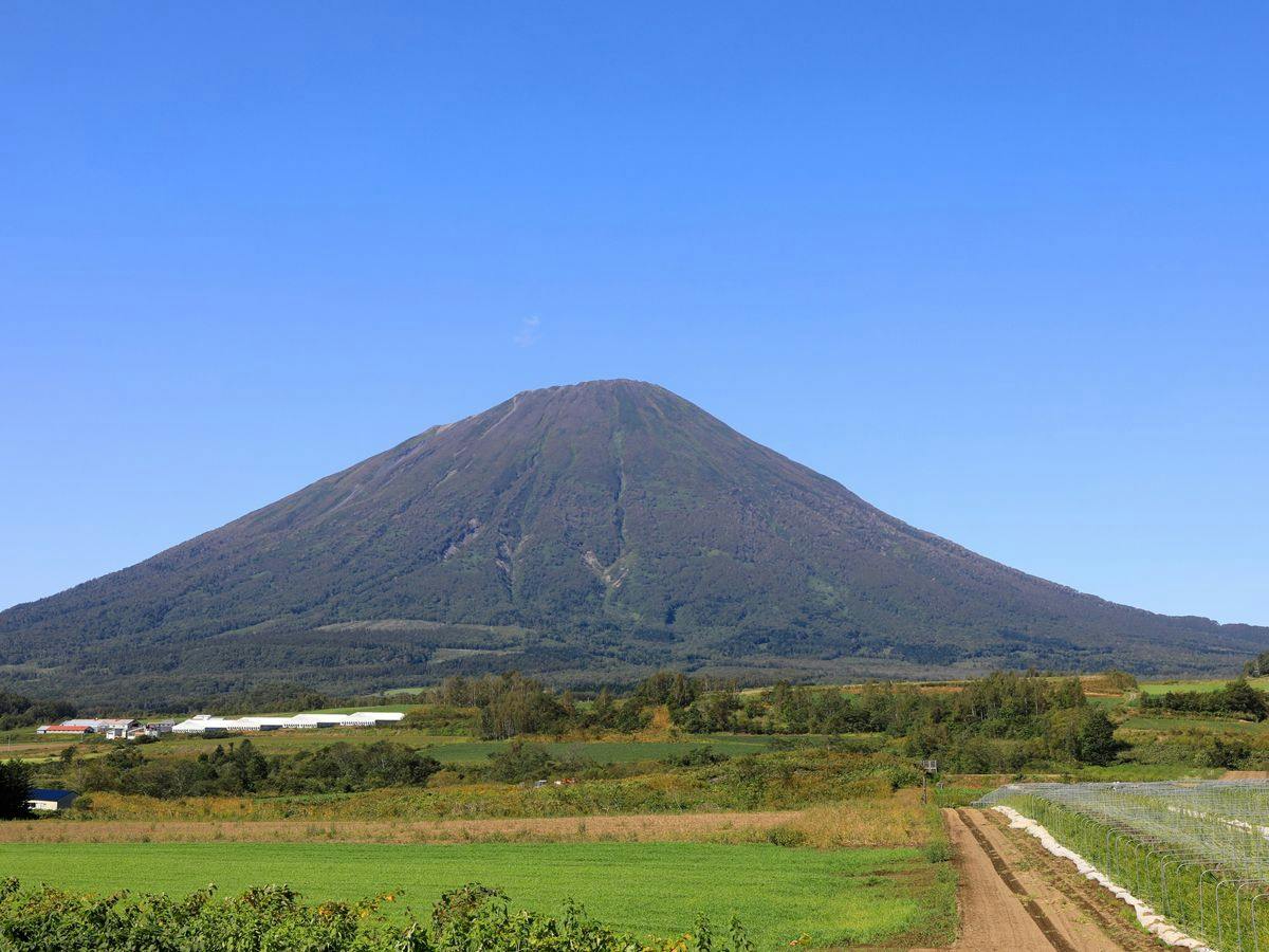 憧れのコンドミニアムに滞在【朝食付】 （Green Farm cafeの朝食セット付）
