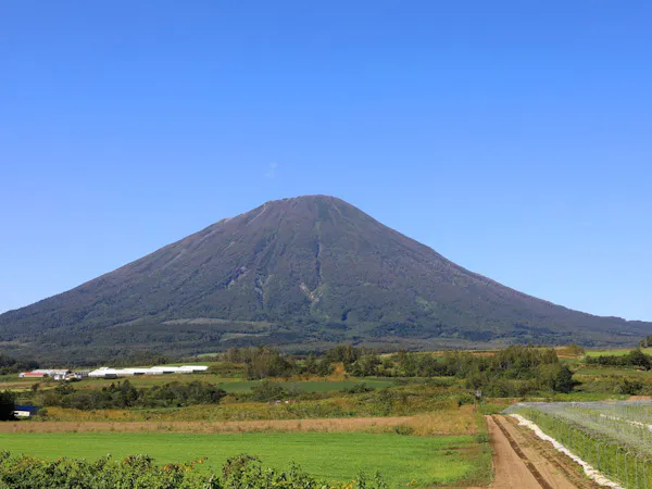 憧れのコンドミニアムに滞在【朝食付】 (Green Farm cafeの朝食セット付)