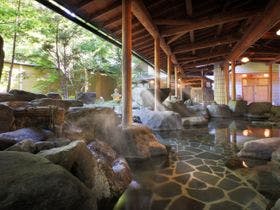 ホテル華の湯 離れ松林亭