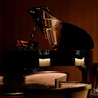 鋼琴與小提琴現場演奏