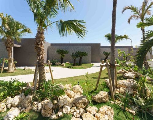 植栽　１００年後の未来へ