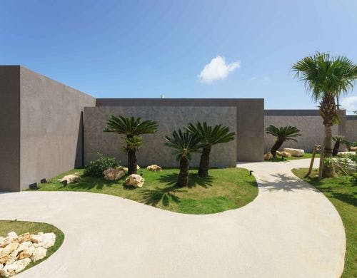 植栽　１００年後の未来へ