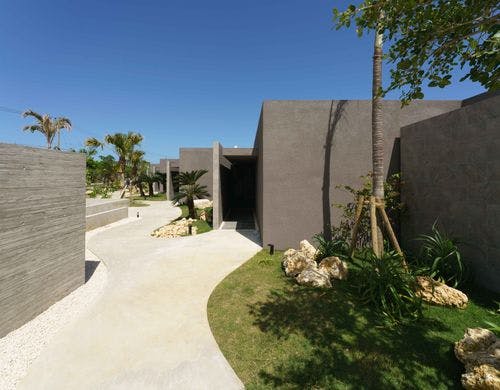 植栽　１００年後の未来へ