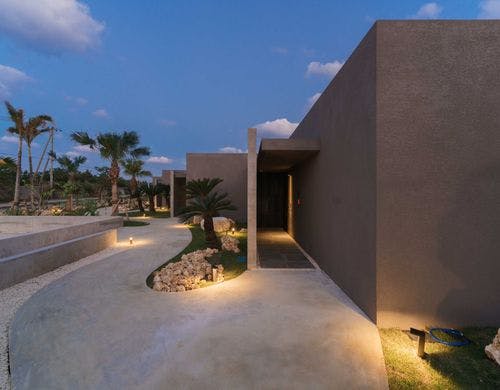 植栽　１００年後の未来へ