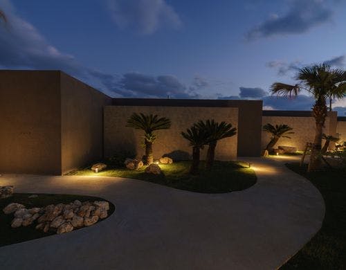 植栽　１００年後に未来へ