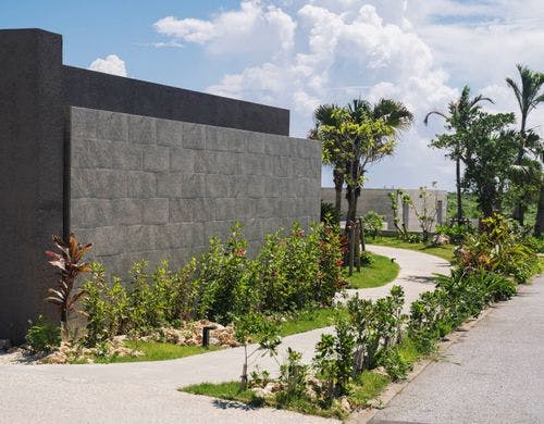 植栽　１００年後の未来へ