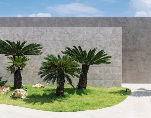 植栽　１００年後の未来へ