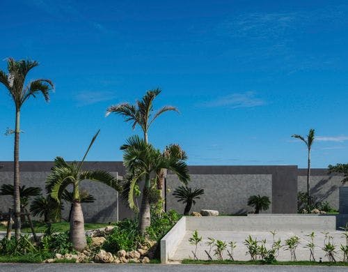 植栽　１００年後の未来へ