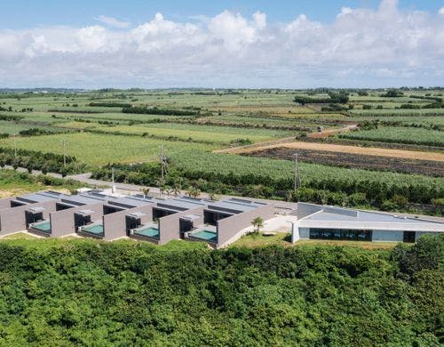 波癒namyu the place