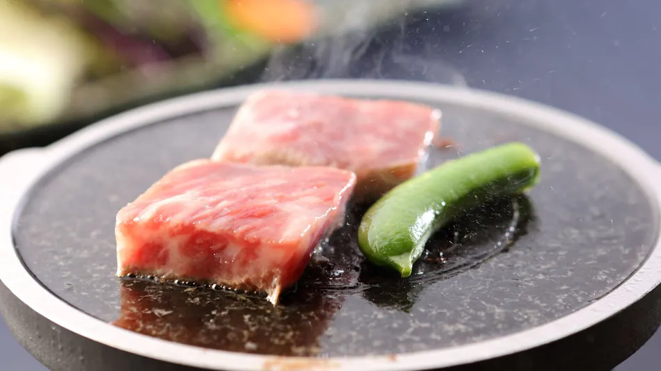 Irago Onsen Roman no Yado Idutsuro