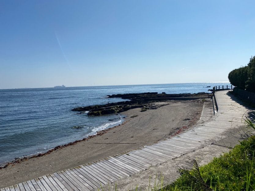 飯店周邊的木棧道