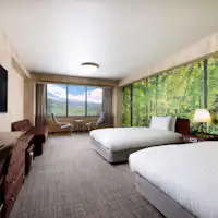 标准三人房山景