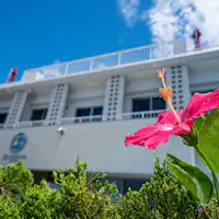 Kembang Sepatu dan Sunmail Zamami