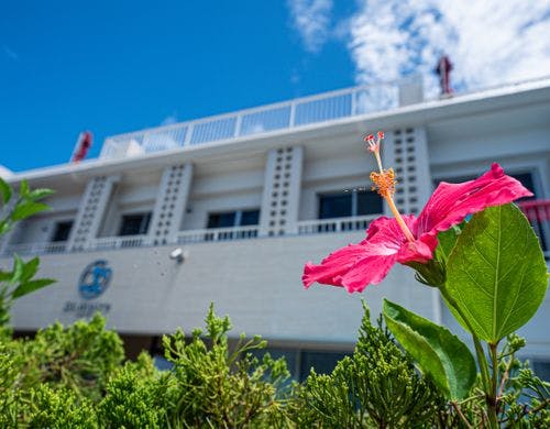 ハイビスカスとサンメール座間味