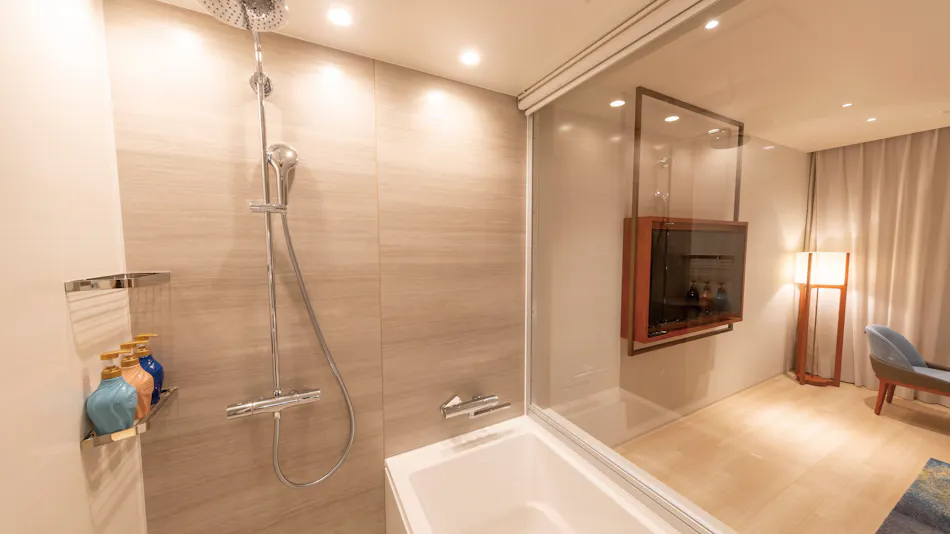 Hotel Springs Makuhari Premier