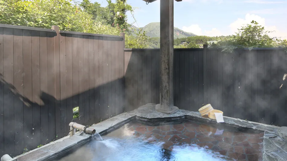 Ryokan Minawa