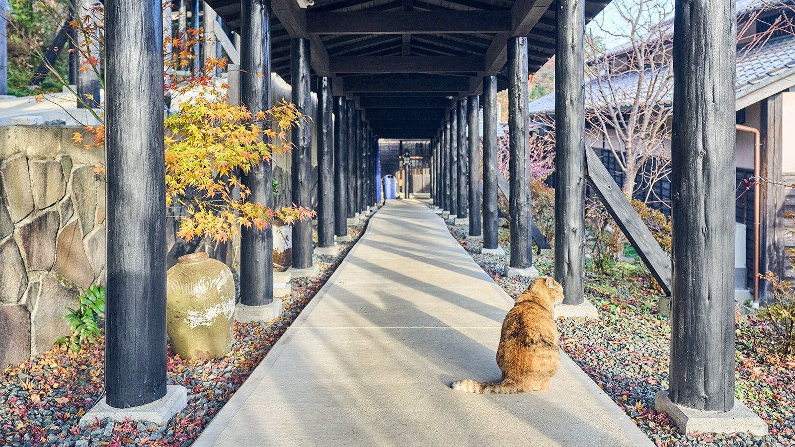 旅館　みな和