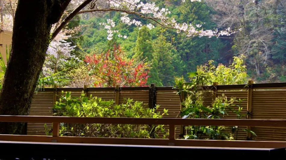 AkameOnsen Kakure-no-Yu Taisenkaku – A Hidden Inn in Iga
