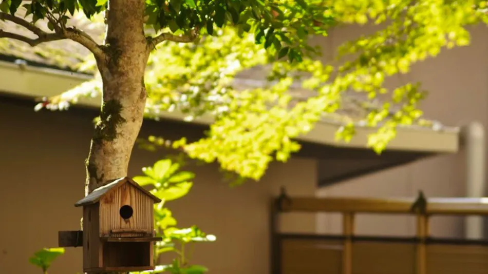 AkameOnsen Kakure-no-Yu Taisenkaku – A Hidden Inn in Iga