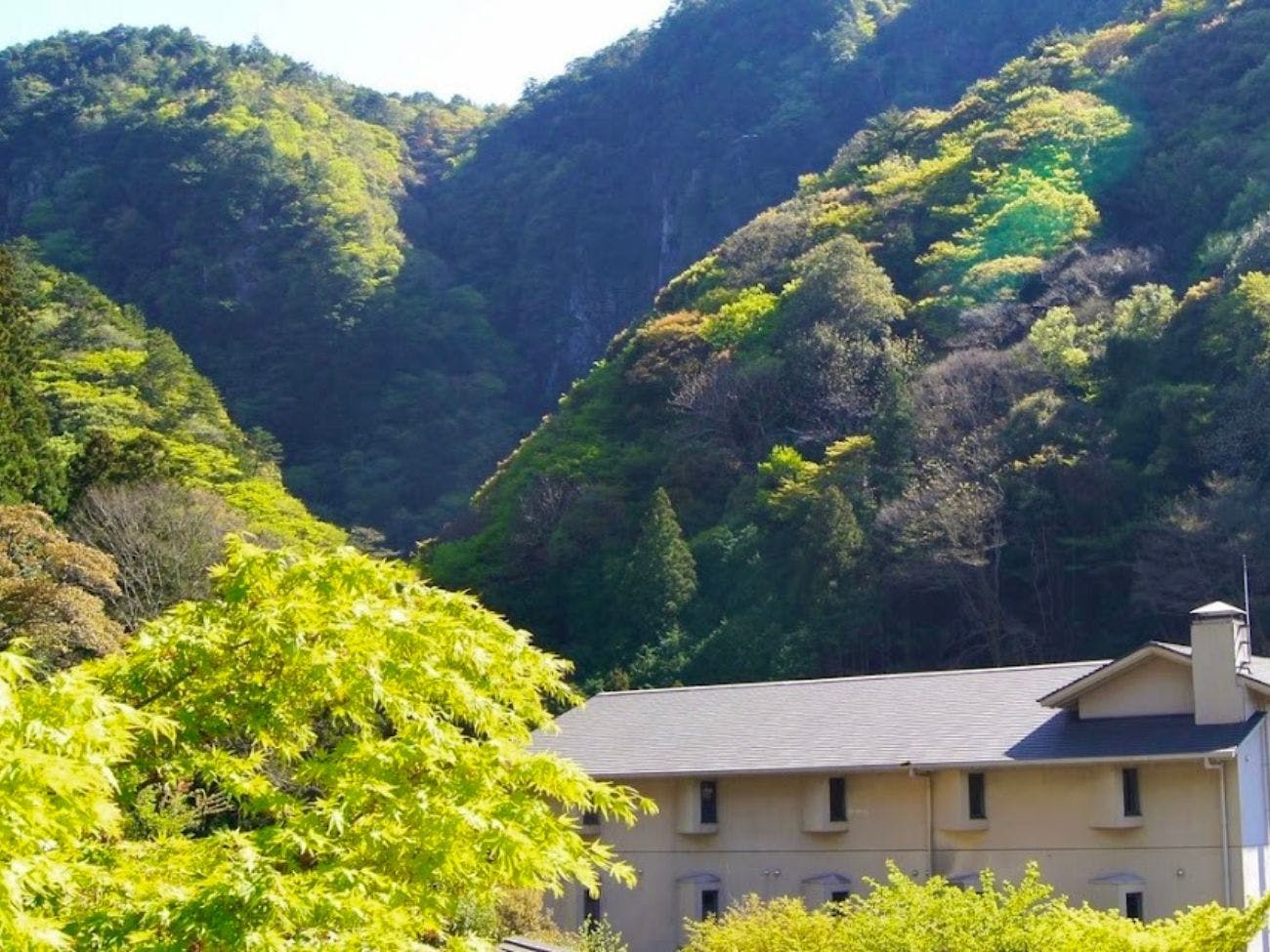 伊賀のかくれ宿 赤目温泉隠れの湯 対泉閣