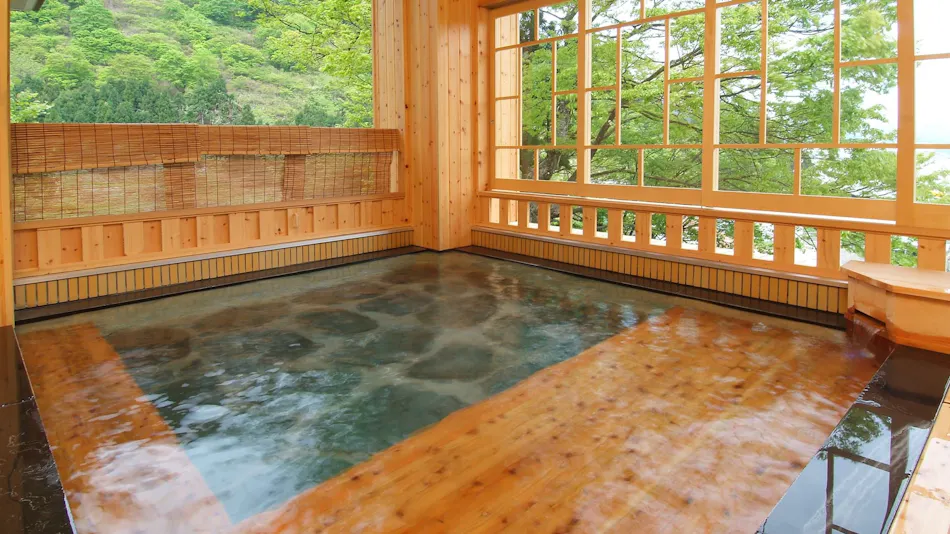 Echigo Yuzawa Yumoto Tamago no Yu Yukiguni no Yado Takahan