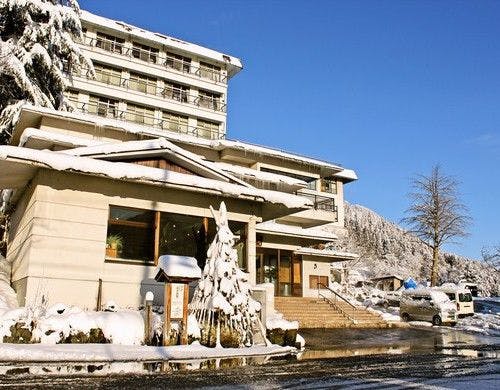 越後湯沢湯元　卵の湯　雪国の宿　高半