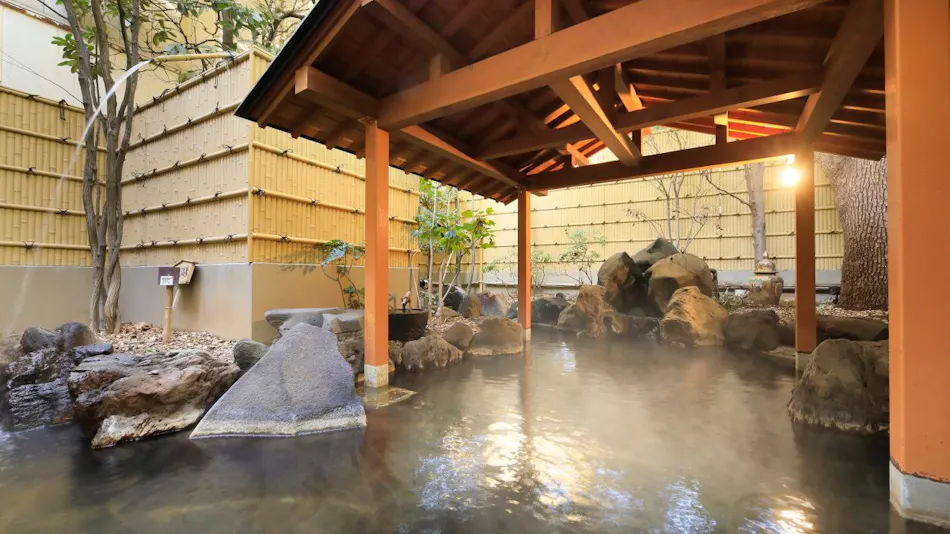 Chateraise Hotel Ryokan Fujinoya