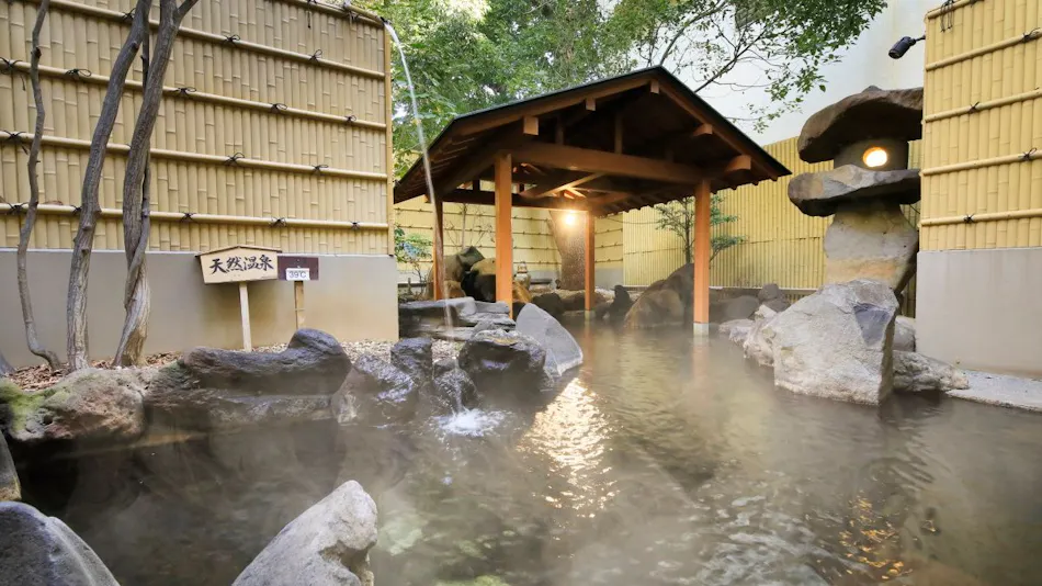 Chateraise Hotel Ryokan Fujinoya