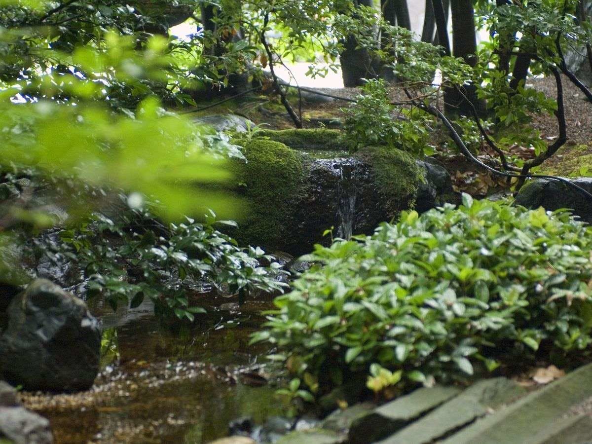 加賀山代温泉　みどりの宿　萬松閣