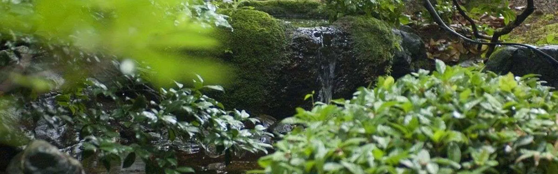加賀山代温泉 みどりの宿 萬松閣