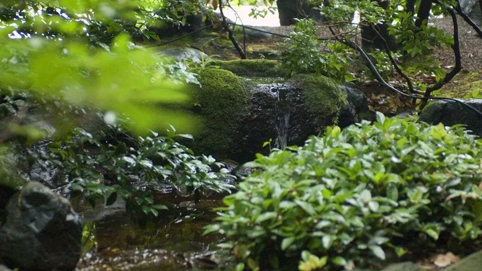 Kaga Yamashiro Onsen Midori no Yado Banshokaku