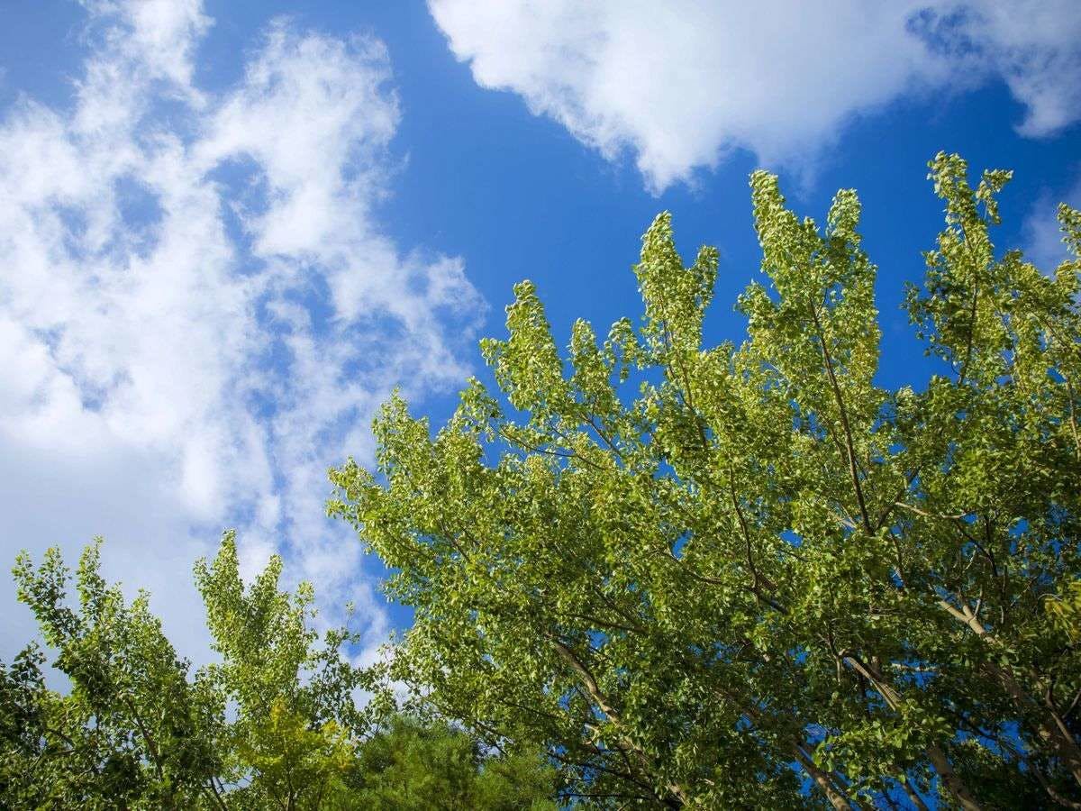 加賀山代温泉　みどりの宿　萬松閣