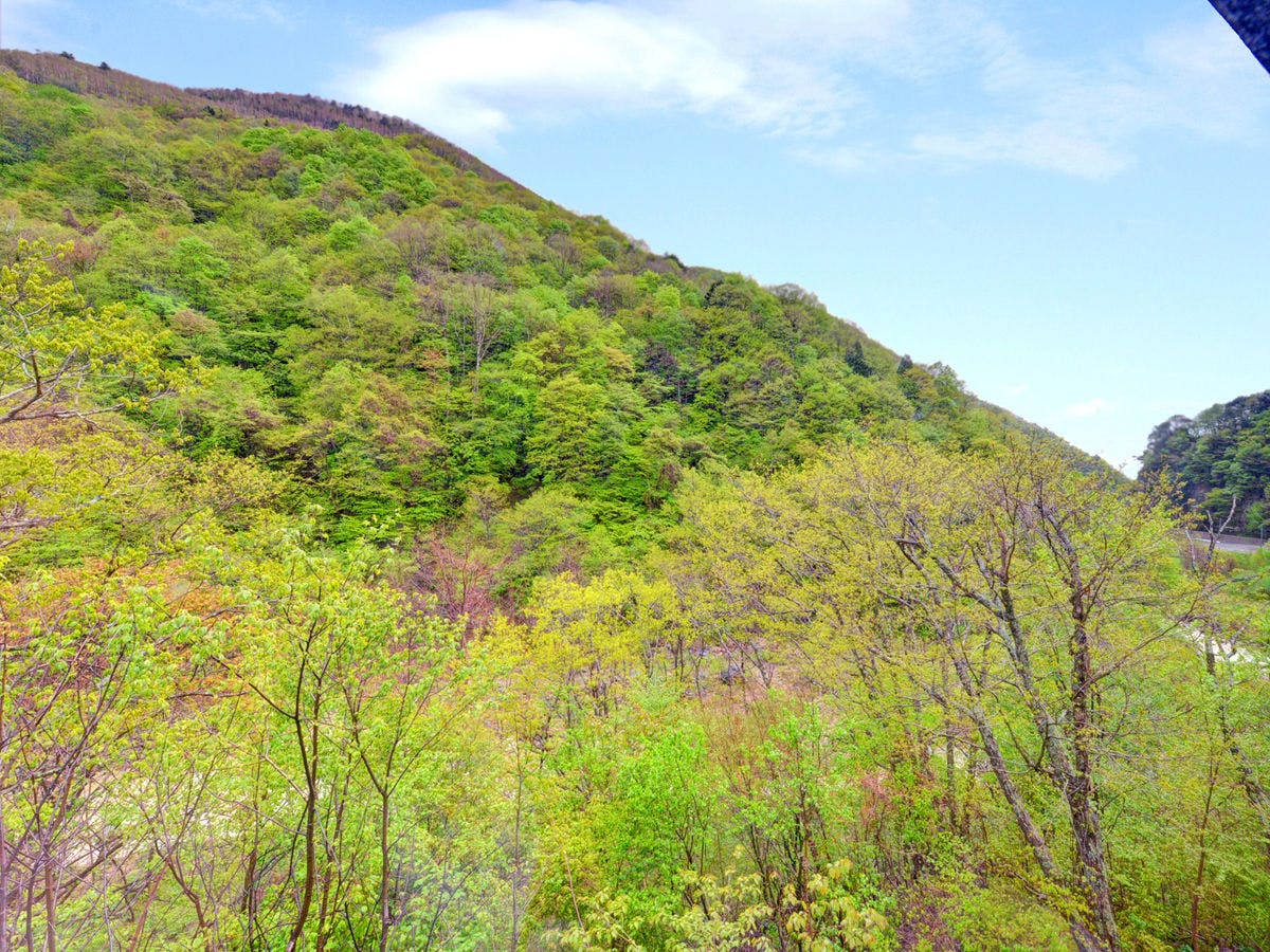 五色温泉　五色の湯旅館