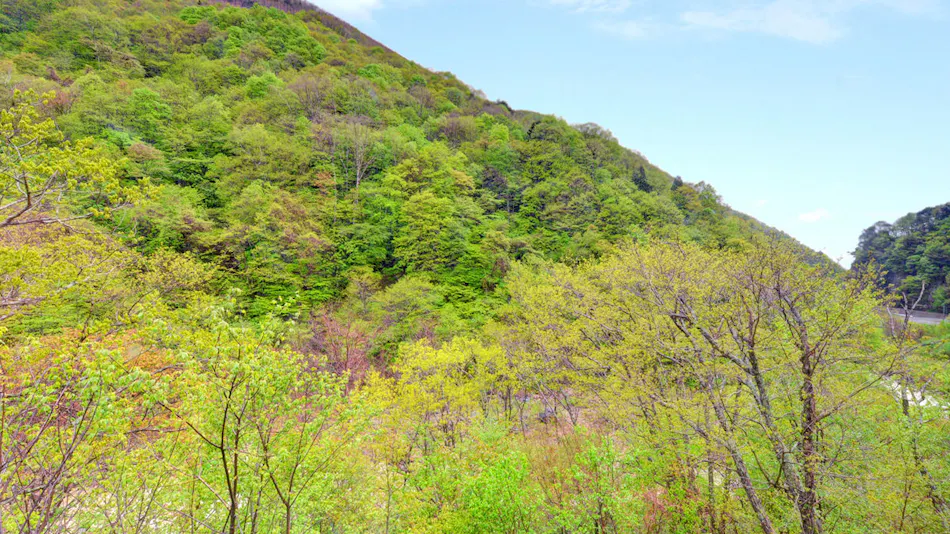 Goshiki Onsen Goshiki no Yu Ryokan