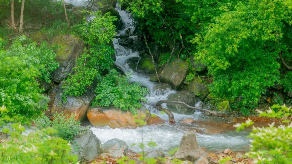 Goshiki Onsen Goshiki no Yu Ryokan