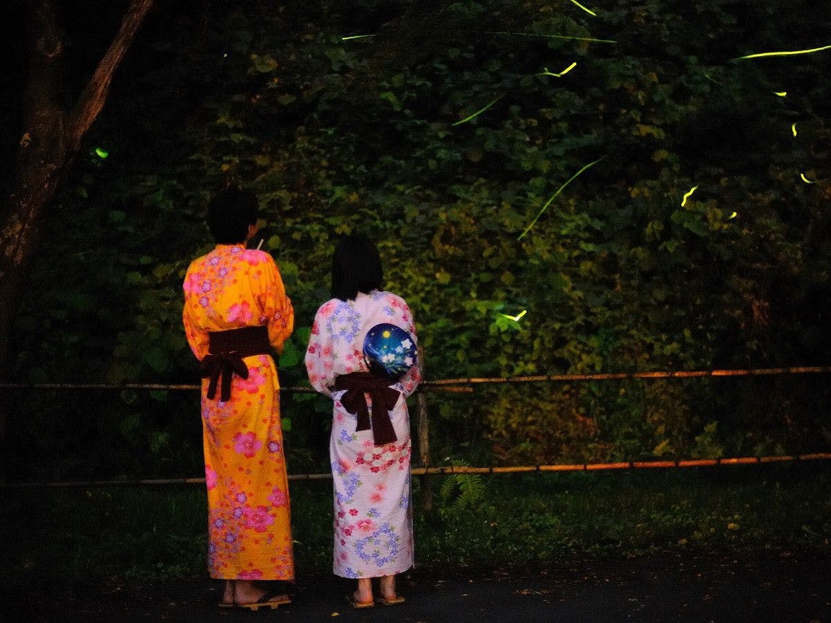 หิ่งห้อย