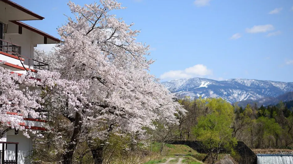 Biyu Bishoku no Hanare Yado Kajikaso (Yonezawa, Onogawa Onsen)