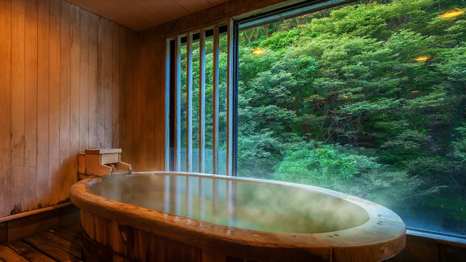 Harataki Inn with Private Hot Spring Source