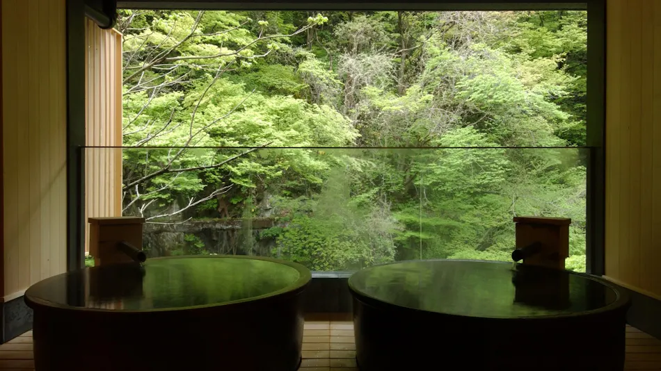 Harataki Inn with Private Hot Spring Source