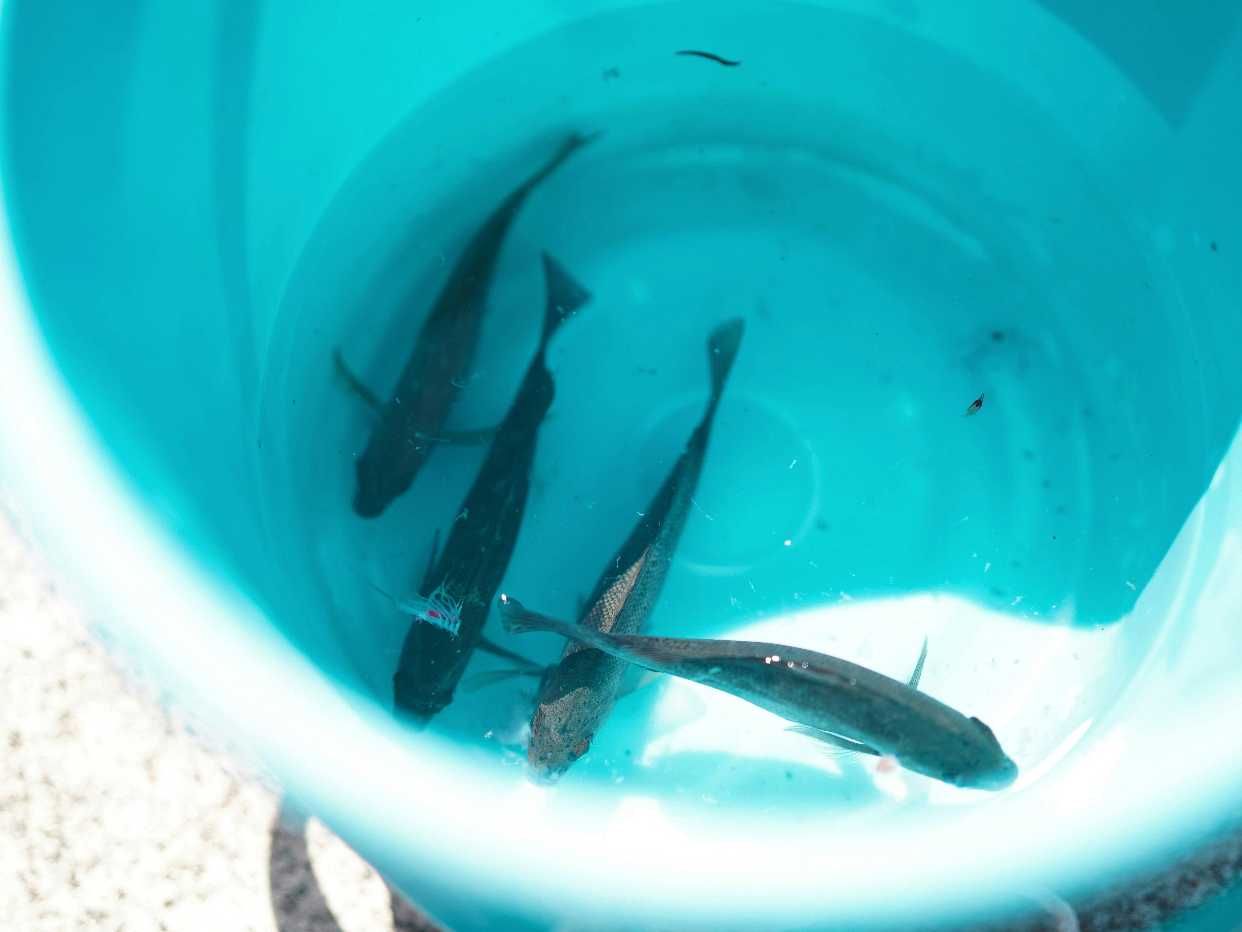 風待ちの湯　福寿荘