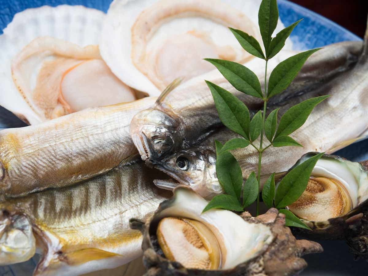 横浜 藤よし 伊豆店