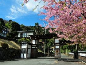 横浜 藤よし 伊豆店