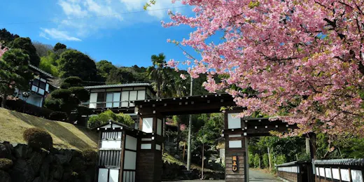 横浜 藤よし 伊豆店