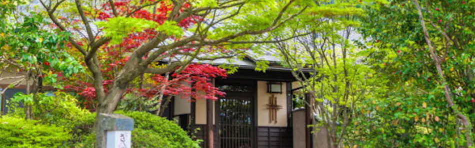 クチコミ 評判 御宿 さくら亭 Yahoo トラベル クチコミ 評判 御宿 さくら亭 Yahoo トラベル