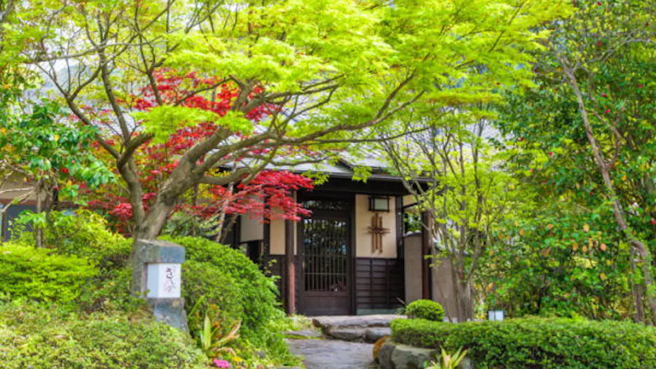 All Rooms with Open-Air Bath Detached Inn - Oyado Sakura-tei