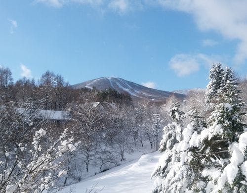 窓からの景色（安比高原スキー場）